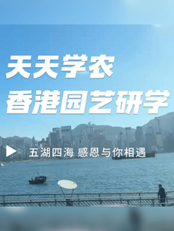 与香港园艺学会结合举办香港园艺研学，专业园境师带队解说。
