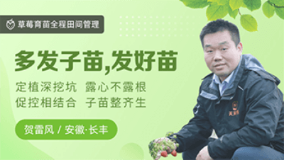 多发子苗，发好苗