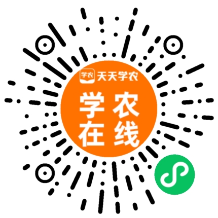 幼法式