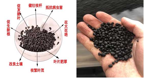 suncitygroup太阳集团·(中国)首页登录